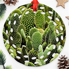 Cactus Flora Flower Nature Floral Ornament (round Filigree)