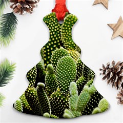 Cactus Flora Flower Nature Floral Ornament (christmas Tree)  by Vaneshop