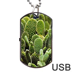 Cactus Flora Flower Nature Floral Dog Tag Usb Flash (one Side) by Vaneshop