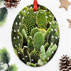 Cactus Flora Flower Nature Floral Oval Filigree Ornament (two Sides) by Vaneshop