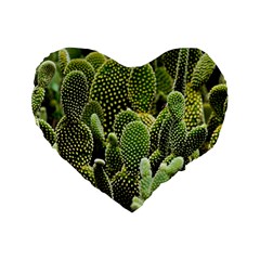 Cactus Flora Flower Nature Floral Standard 16  Premium Heart Shape Cushions by Vaneshop