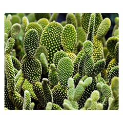 Cactus Flora Flower Nature Floral Two Sides Premium Plush Fleece Blanket (small) by Vaneshop