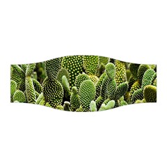 Cactus Flora Flower Nature Floral Stretchable Headband by Vaneshop