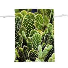 Cactus Flora Flower Nature Floral Lightweight Drawstring Pouch (xl) by Vaneshop