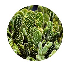 Cactus Flora Flower Nature Floral Mini Round Pill Box (pack Of 5) by Vaneshop