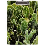 Cactus Flora Flower Nature Floral A4 Acrylic Clipboard Front