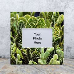 Cactus Flora Flower Nature Floral White Box Photo Frame 4  X 6  by Vaneshop