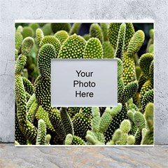 Cactus Flora Flower Nature Floral White Wall Photo Frame 5  X 7  by Vaneshop