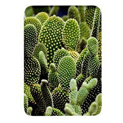 Cactus Flora Flower Nature Floral Rectangular Glass Fridge Magnet (4 Pack)