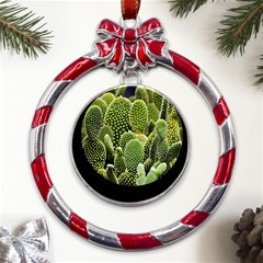 Cactus Flora Flower Nature Floral Metal Red Ribbon Round Ornament by Vaneshop