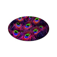 Peacock Feathers Color Plumage Sticker (oval) by Celenk