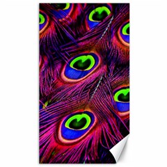 Peacock Feathers Color Plumage Canvas 40  X 72  by Celenk