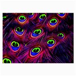 Peacock Feathers Color Plumage Large Glasses Cloth Front