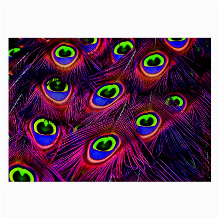 Peacock Feathers Color Plumage Large Glasses Cloth