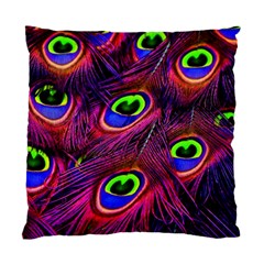 Peacock Feathers Color Plumage Standard Cushion Case (two Sides) by Celenk