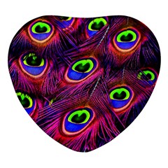 Peacock Feathers Color Plumage Heart Glass Fridge Magnet (4 Pack) by Celenk