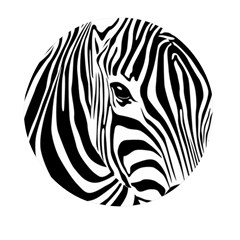 Animal Cute Pattern Art Zebra Mini Round Pill Box by Amaryn4rt