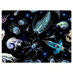 Colorful-abstract-pattern-consisting-glowing-lights-luminescent-images-marine-plankton-dark Two Sides Premium Plush Fleece Blanket (Extra Small) 40 x30  Blanket Front