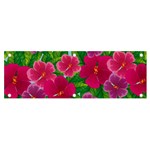 Background-cute-flowers-fuchsia-with-leaves Banner and Sign 6  x 2  Front