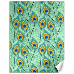 Lovely-peacock-feather-pattern-with-flat-design Canvas 12  X 16  by uniart180623