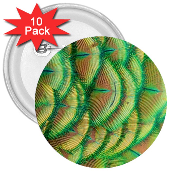 Beautiful-peacock 3  Buttons (10 pack) 