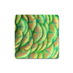 Beautiful-peacock Square Magnet by uniart180623