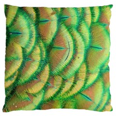 Beautiful-peacock Large Cushion Case (one Side) by uniart180623