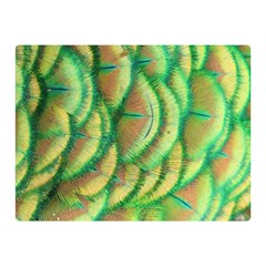 Beautiful-peacock Two Sides Premium Plush Fleece Blanket (mini) by uniart180623