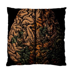 Always On My Mind Brain Map Vintage Standard Cushion Case (two Sides) by uniart180623