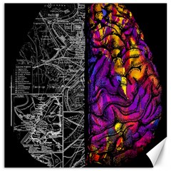 Ambiguity Tobe Brain Duality Mind Minimal Thinking Canvas 20  X 20  by uniart180623