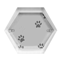 Pawprints-paw-prints-paw-animal Hexagon Wood Jewelry Box by uniart180623