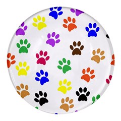 Pawprints-paw-prints-paw-animal Round Glass Fridge Magnet (4 Pack) by uniart180623