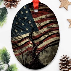 Flag Usa American Flag Ornament (Oval)