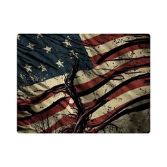 Flag Usa American Flag Premium Plush Fleece Blanket (Mini)