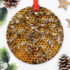 Honey Bee Bees Insect Ornament (round) by Ravend