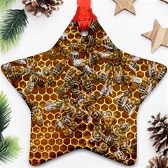 Honey Bee Bees Insect Ornament (star) by Ravend