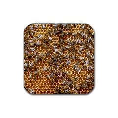 Honey Bee Bees Insect Rubber Coaster (square) by Ravend