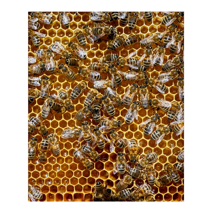 Honey Bee Bees Insect Shower Curtain 60  x 72  (Medium) 