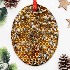 Honey Bee Bees Insect Ornament (oval Filigree) by Ravend