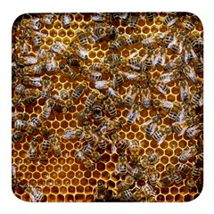 Honey Bee Bees Insect Square Glass Fridge Magnet (4 Pack)