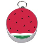 Minimalist Summer Watermelon Wallpaper Silver Compasses Front