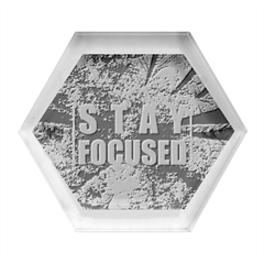 Stay Focused Focus Success Inspiration Motivational Hexagon Wood Jewelry Box by Bangk1t