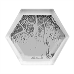 Nature Trees Forest Mystical Forest Jungle Hexagon Wood Jewelry Box Front