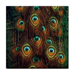 Peacock Feathers Tile Coaster by Ravend