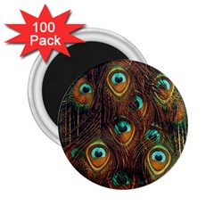 Peacock Feathers 2 25  Magnets (100 Pack)  by Ravend