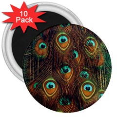 Peacock Feathers 3  Magnets (10 Pack)  by Ravend