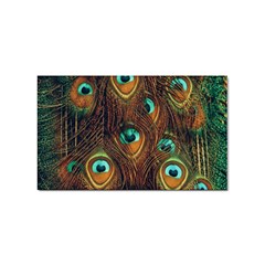 Peacock Feathers Sticker (Rectangular)