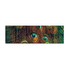 Peacock Feathers Sticker (Bumper)