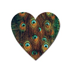 Peacock Feathers Heart Magnet by Ravend