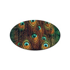 Peacock Feathers Sticker Oval (100 pack)